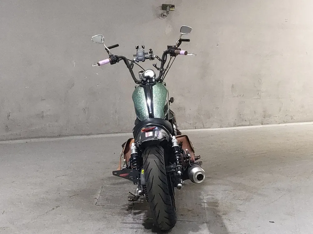 Honda Rebel 250, зелёный, фото 4