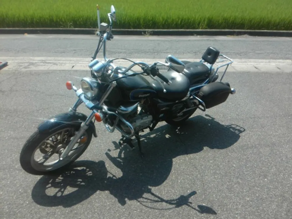 Suzuki GZ125HS 2001, чёрный, красный, фото 5