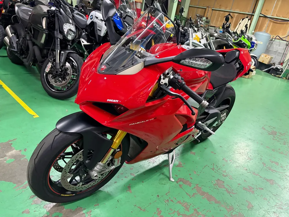 Ducati Paniga-Rev4S 2018, красный, фото 10
