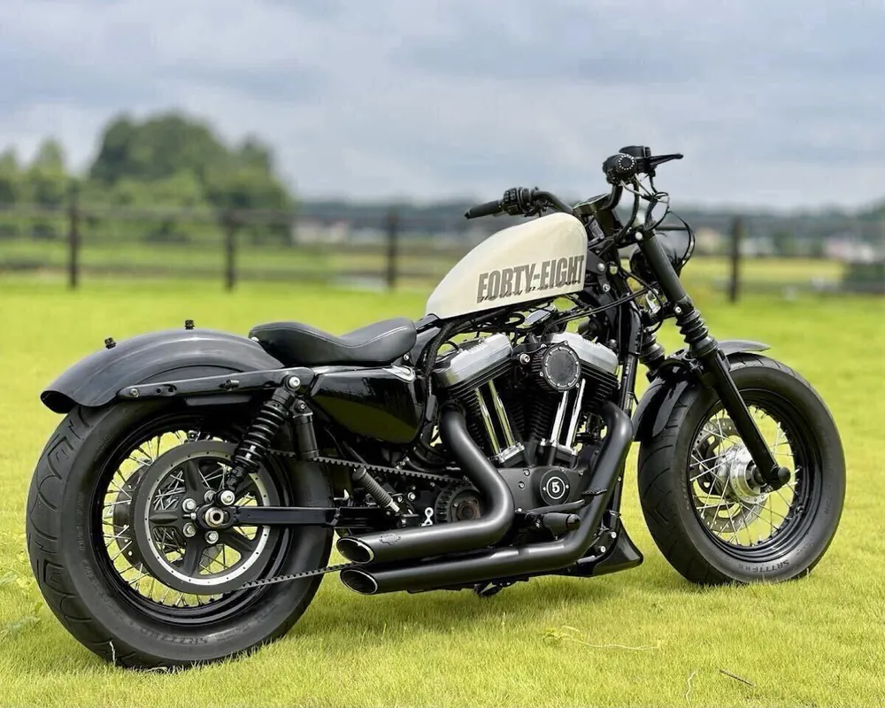 Harley-Davidson XL1200X 2014, фото 3