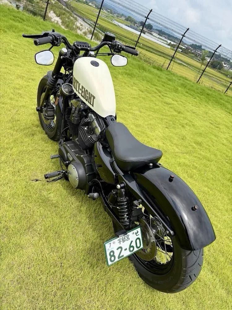 Harley-Davidson XL1200X 2014, фото 5
