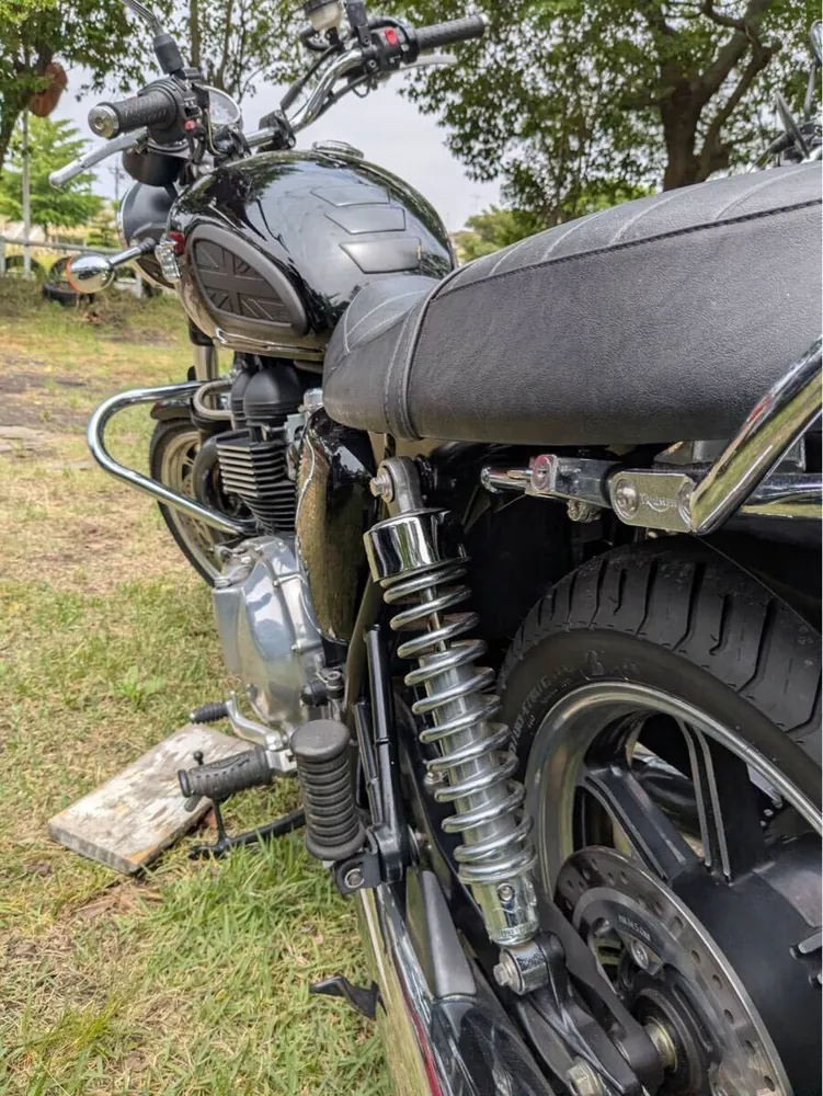 Triumph Bonneville SE 2012, фото 10