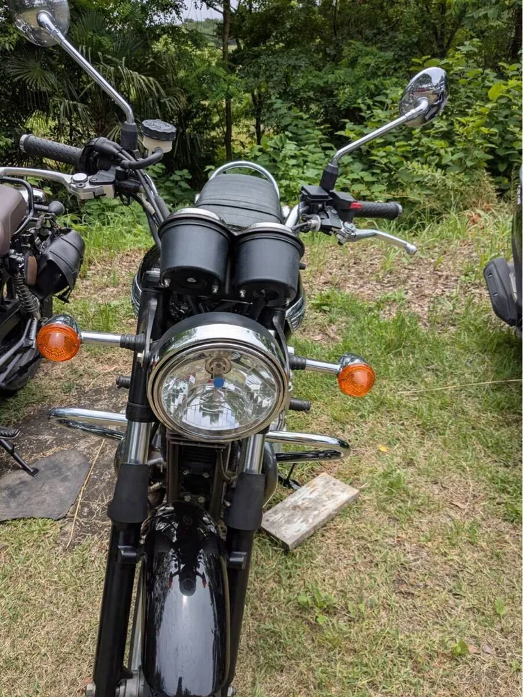 Triumph Bonneville SE 2012, фото 6
