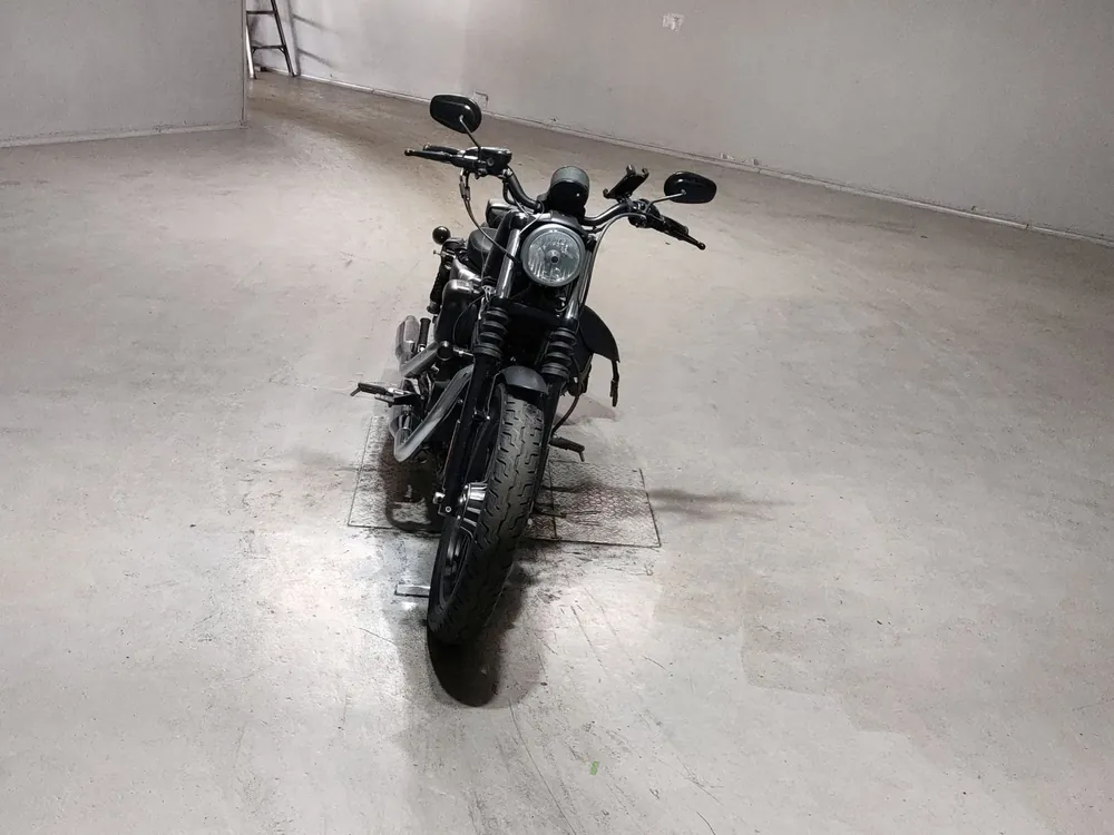 Harley-Davidson XL883N 2010, чёрный, фото 3