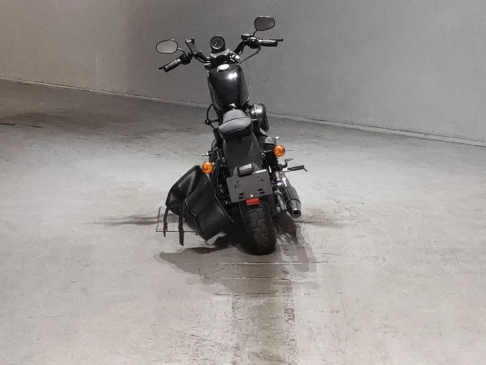 Harley-Davidson XL883N 2010, чёрный, фото 4