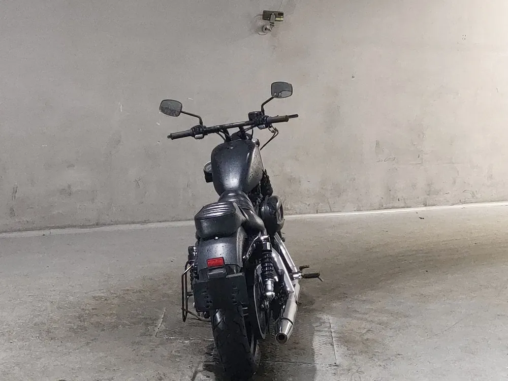 Harley-Davidson XL883N 2015, фото 4