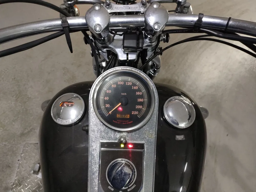 Harley-Davidson FLSTS Heritage Springer 2001, чёрный, фото 5