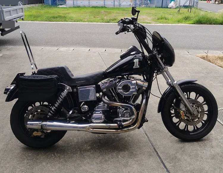 Harley-Davidson FXDL 1999, фото 3