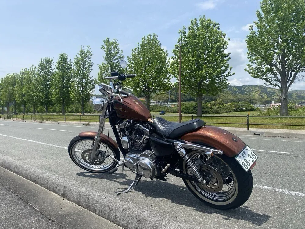 Harley-Davidson XL1200V Seventy-Two 2014, фото 5