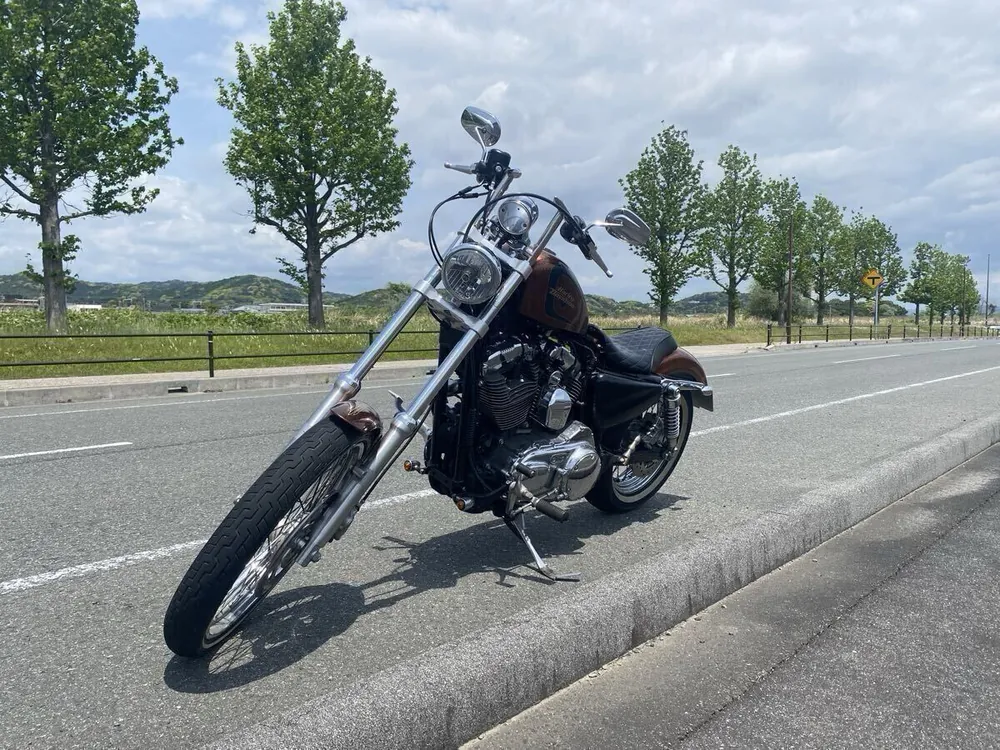 Harley-Davidson XL1200V Seventy-Two 2014, фото 6