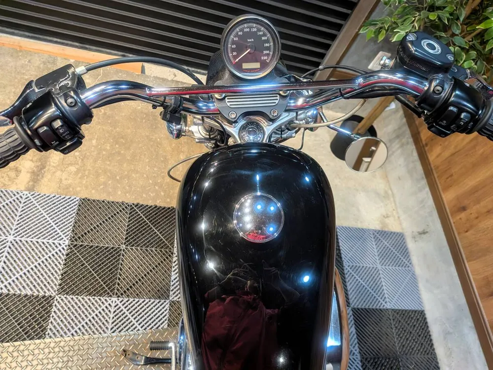 Harley-Davidson XL883 2007, фото 10