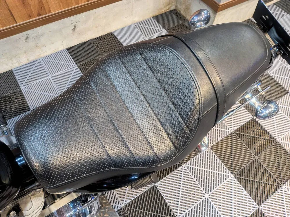 Harley-Davidson XL883 2007, фото 2