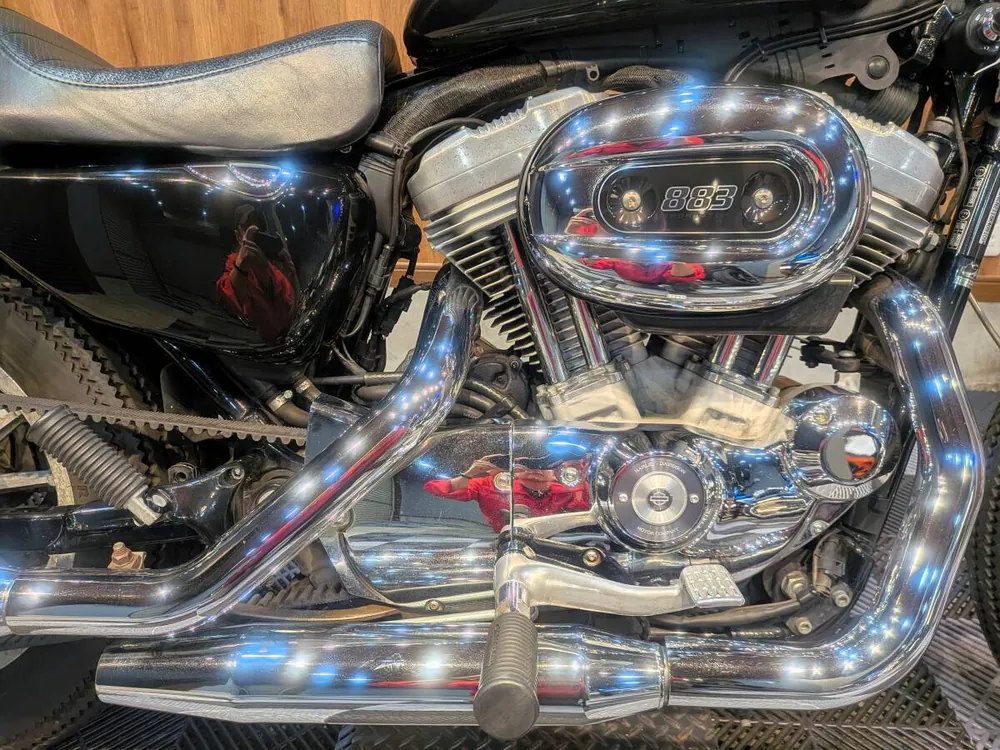 Harley-Davidson XL883 2007, фото 6