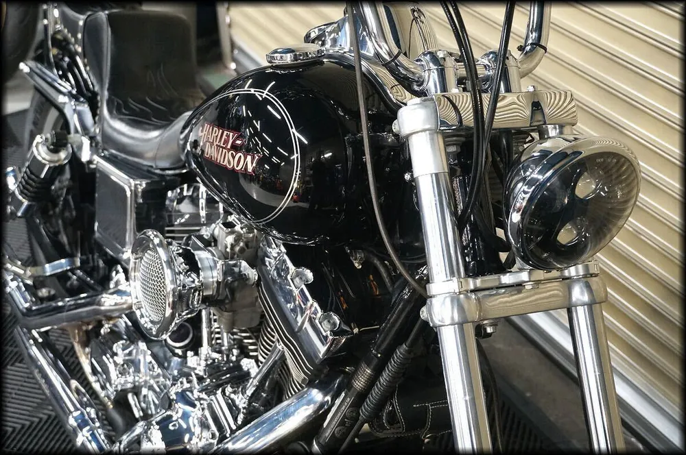 Harley-Davidson FXDL1450 2004, фото 5