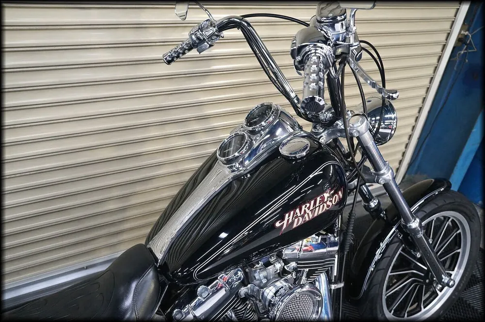 Harley-Davidson FXDL1450 2004, фото 7
