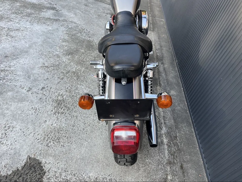 Harley-Davidson XL1200C 1996, фото 10