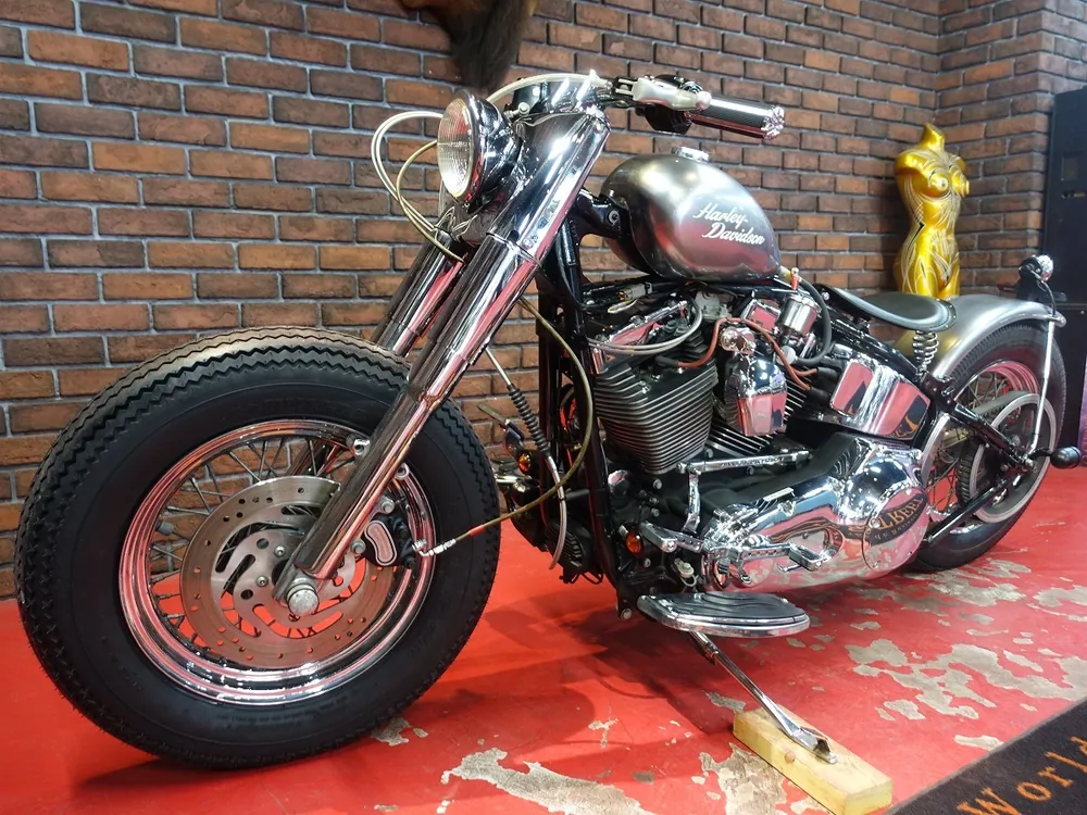 Harley-Davidson FLSTC 2004, фото 5