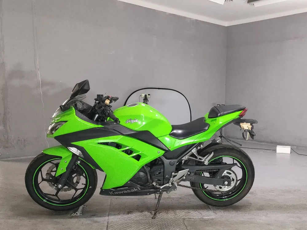 Kawasaki Ninja 250, зелёный, фото 2