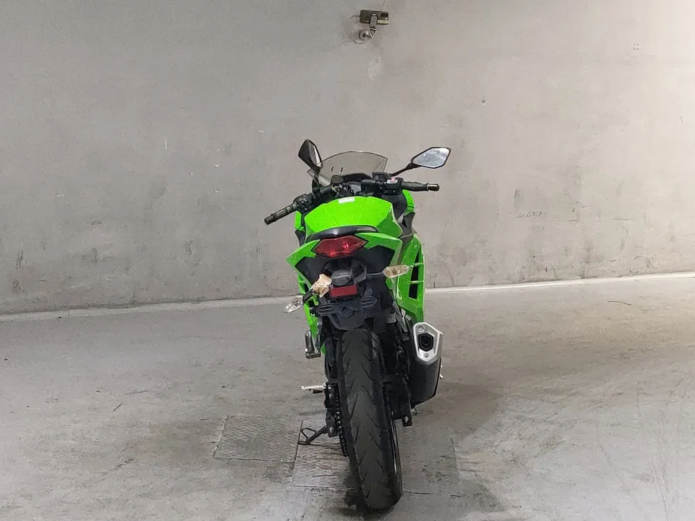 Kawasaki Ninja 250, зелёный, фото 4