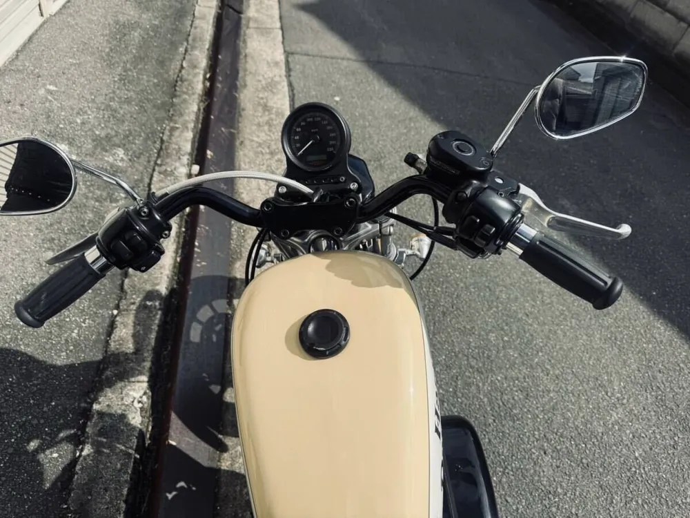 Harley-Davidson Sportster 1200 Roadster 2004, фото 2
