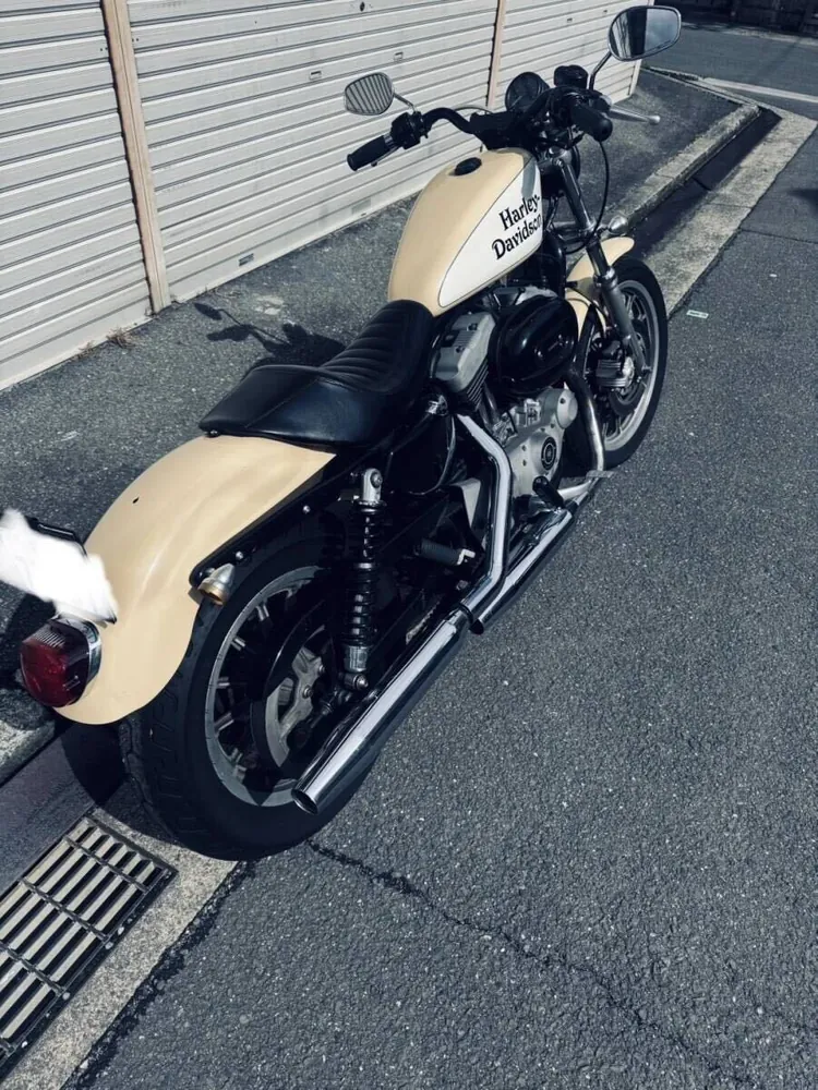 Harley-Davidson Sportster 1200 Roadster 2004, фото 4