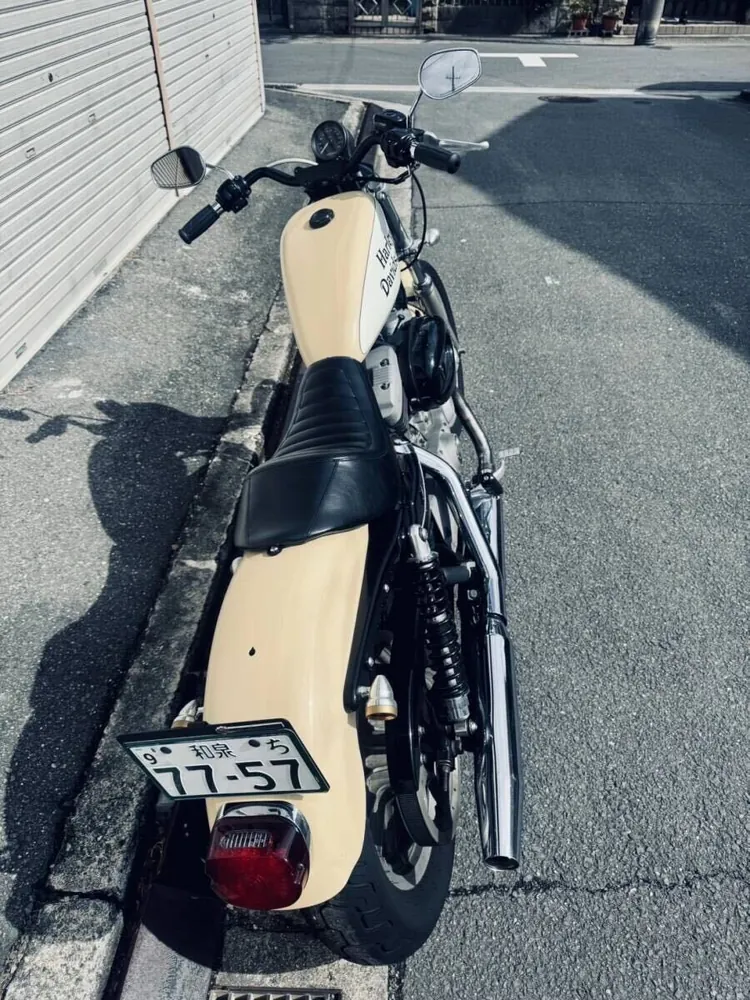 Harley-Davidson Sportster 1200 Roadster 2004, фото 5