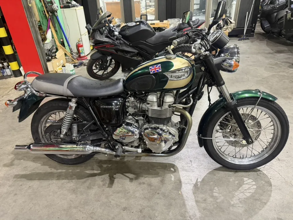 Triumph Bonneville T100 2003, фото 4