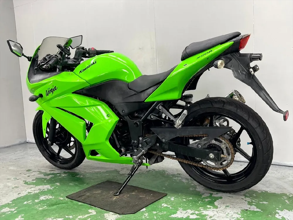 Kawasaki Ninja 250R 2009, фото 8