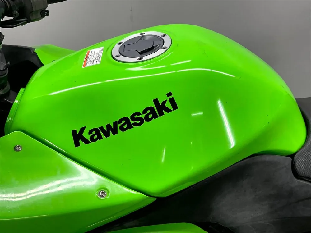 Kawasaki Ninja 250R 2009, фото 9