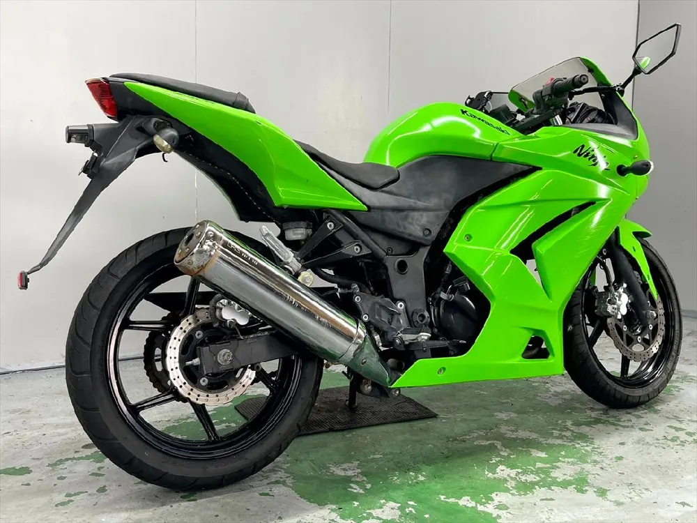 Kawasaki Ninja 250R 2009, фото 3