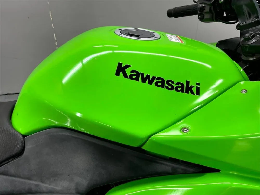 Kawasaki Ninja 250R 2009, фото 5