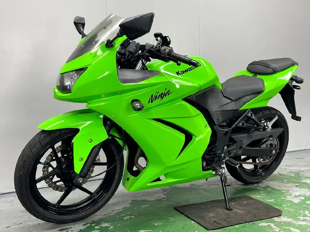 Kawasaki Ninja 250R 2009, фото 7