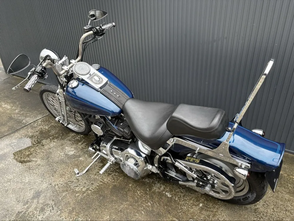 Harley-Davidson FXSTS 2000, фото 9