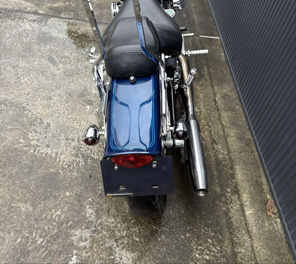 Harley-Davidson FXSTS 2000, фото 10