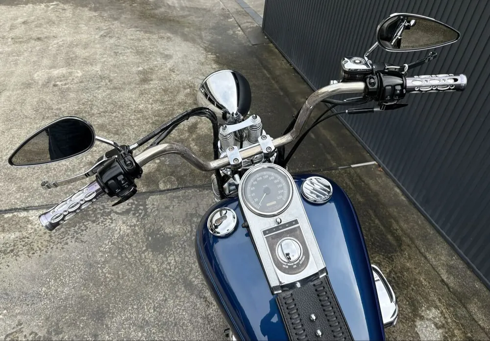 Harley-Davidson FXSTS 2000, фото 2