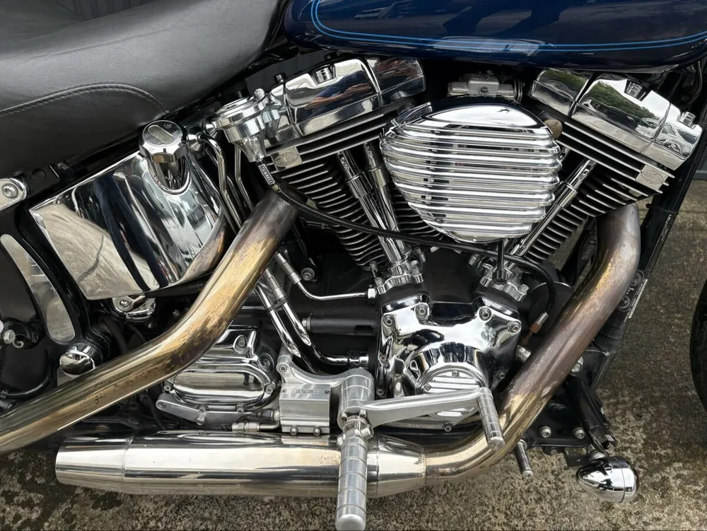 Harley-Davidson FXSTS 2000, фото 3
