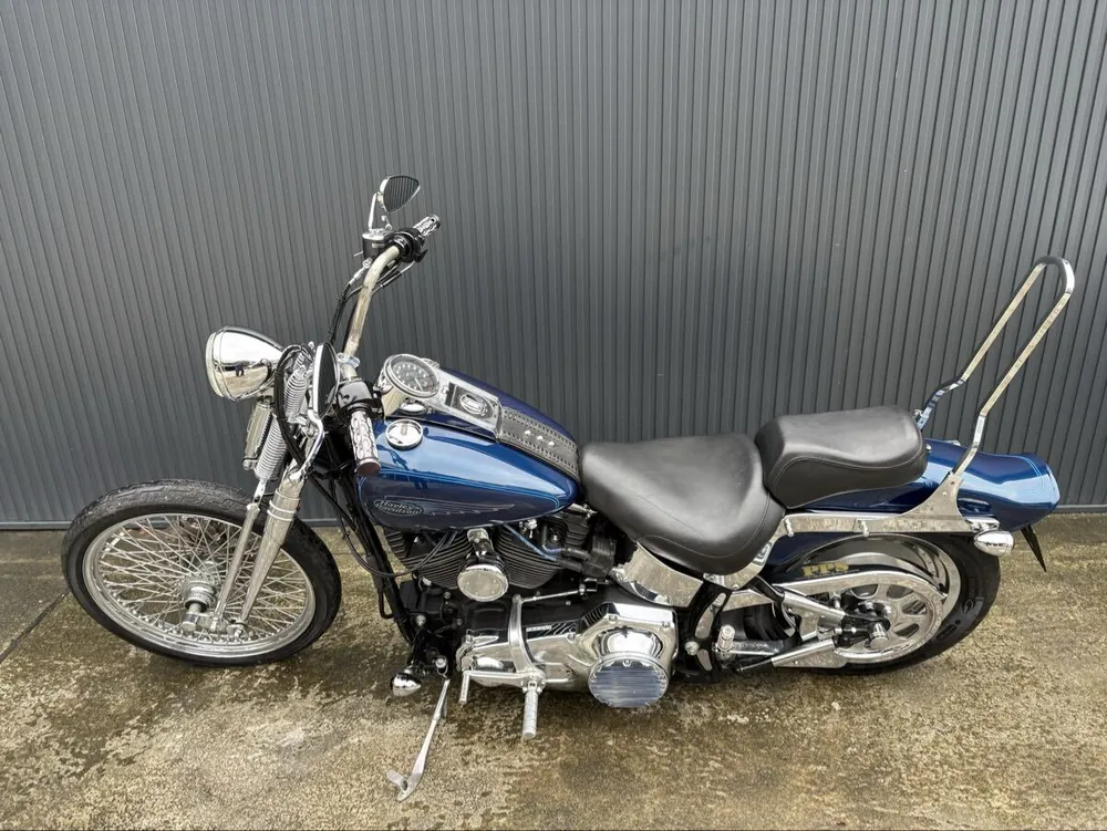 Harley-Davidson FXSTS 2000, фото 4