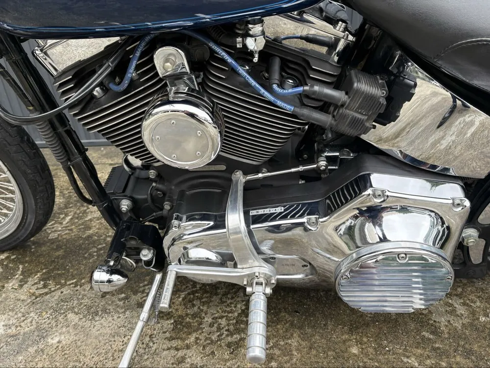 Harley-Davidson FXSTS 2000, фото 5