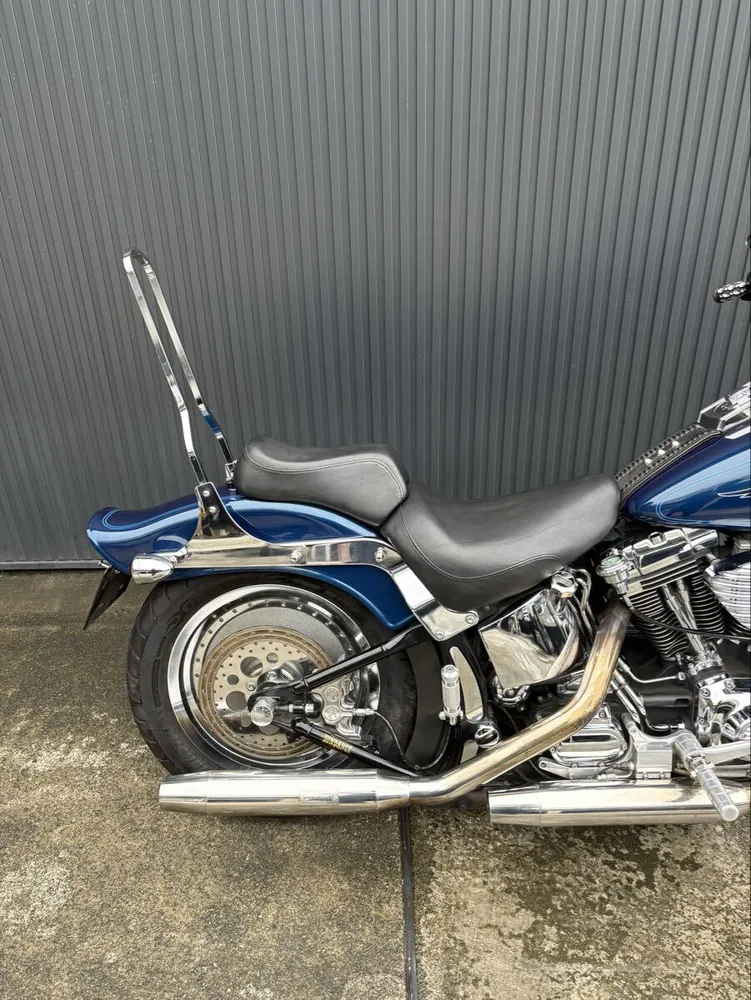 Harley-Davidson FXSTS 2000, фото 6