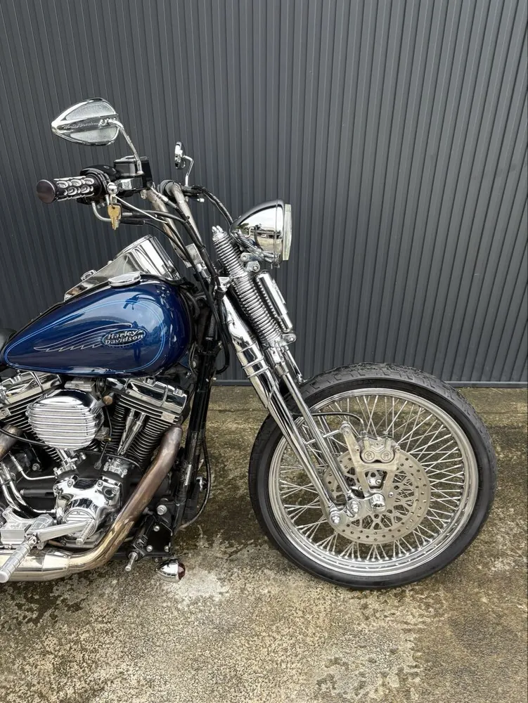 Harley-Davidson FXSTS 2000, фото 7