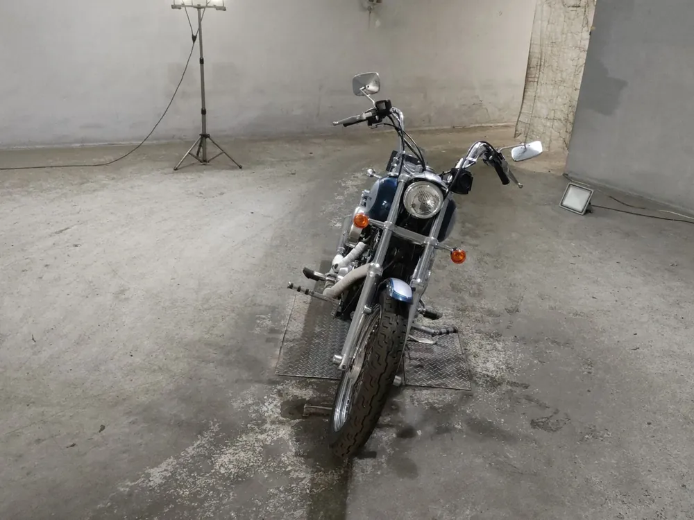 Harley-Davidson FXDL Dyna Low Rider 2002, silver / blue, фото 3