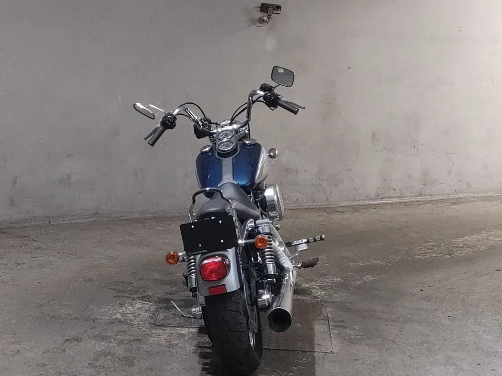 Harley-Davidson FXDL Dyna Low Rider 2002, silver / blue, фото 4