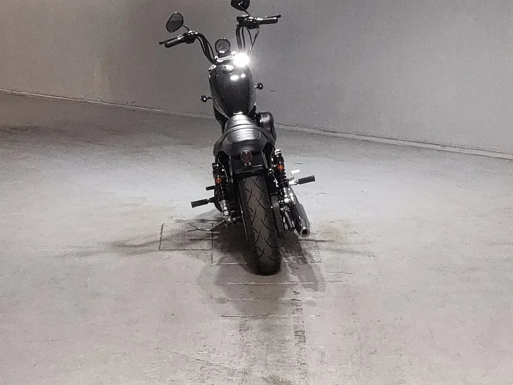 Harley-Davidson XL883R 2007, чёрный, фото 4
