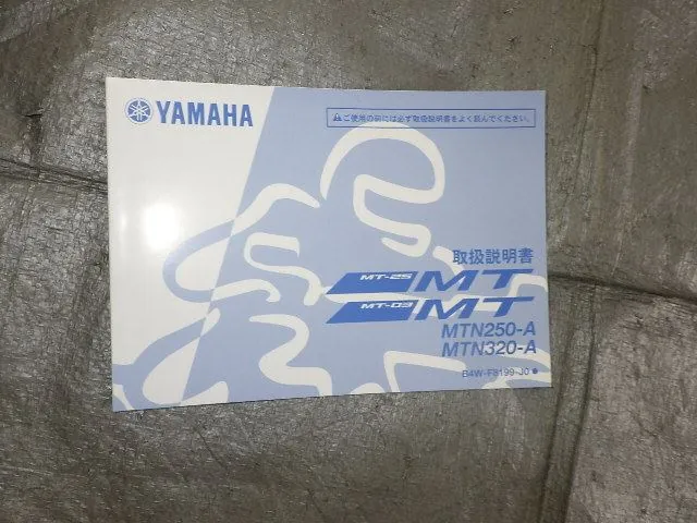 Yamaha MT-03 2021, серый, фото 9