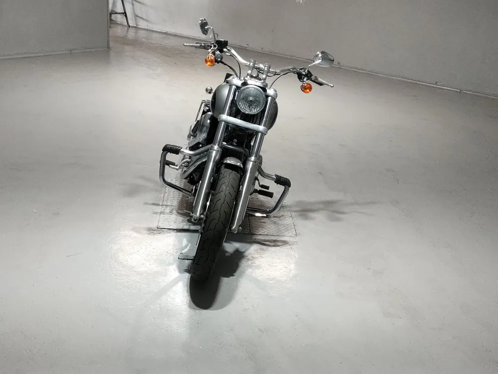 Harley-Davidson FXDL1690 2017, black/gray, фото 3