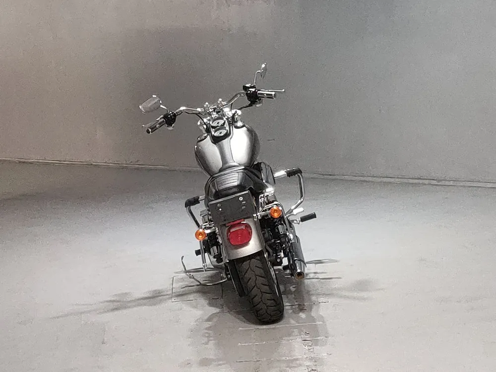 Harley-Davidson FXDL1690 2017, black/gray, фото 4