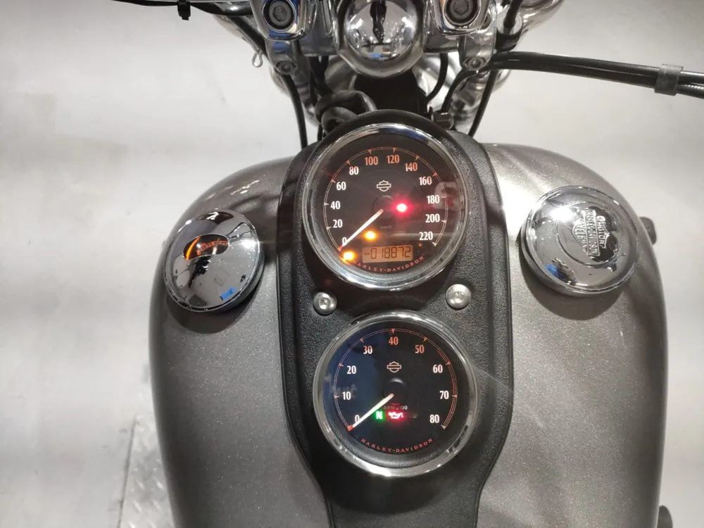 Harley-Davidson FXDL1690 2017, black/gray, фото 5