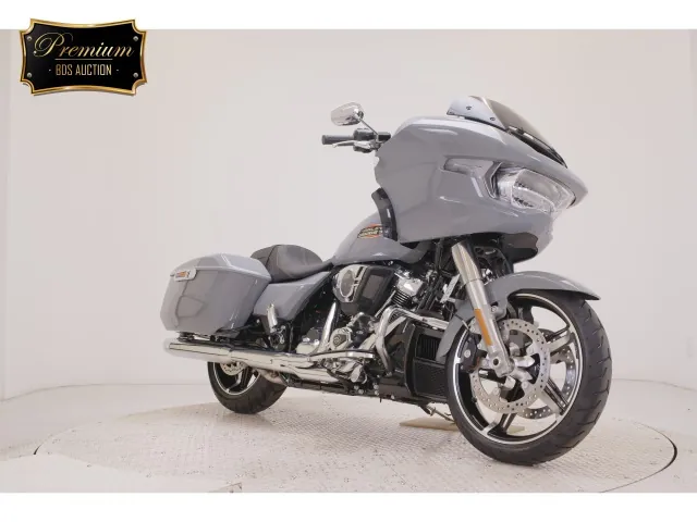 Harley-Davidson FLTRX1920 2026, серый, фото 3