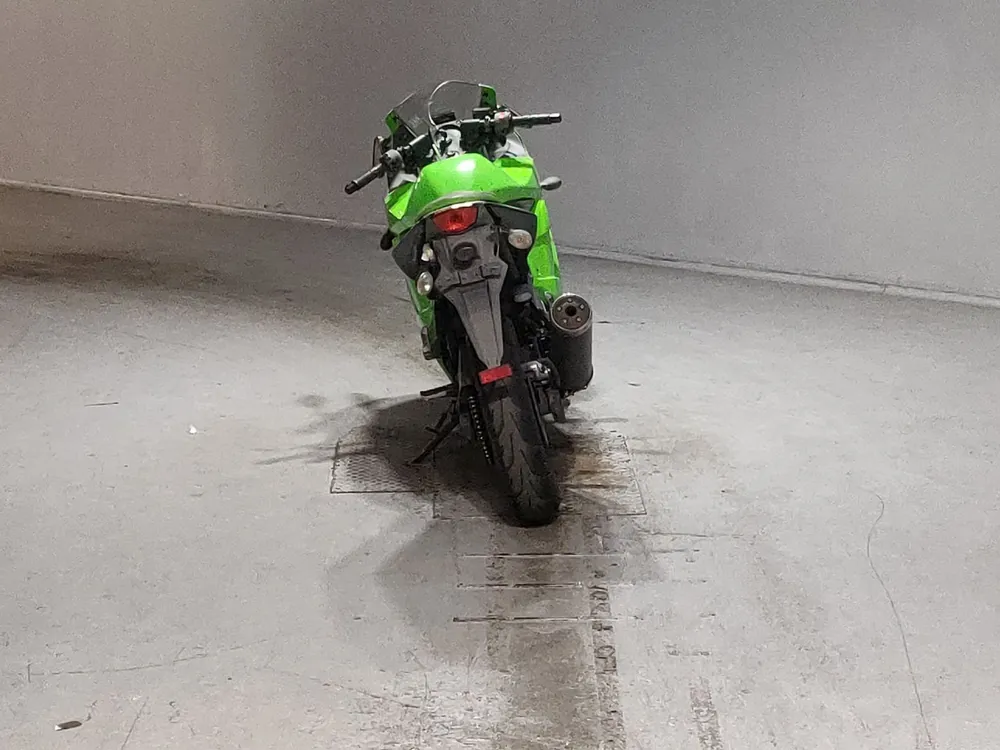Kawasaki Ninja 250SL, зелёный, фото 4
