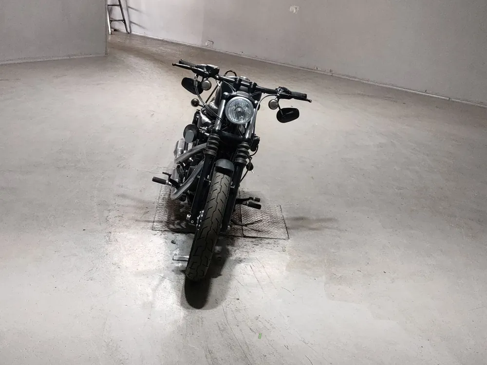 Harley-Davidson XL883N 2014, чёрный, фото 3